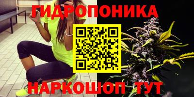 не бодяженный Славгород