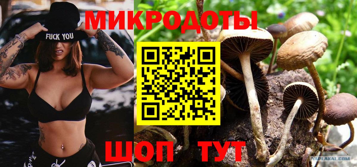 где найти   Вход с VPN  Орехово-Зуево  Псилоцибиновые грибы Cubensis 