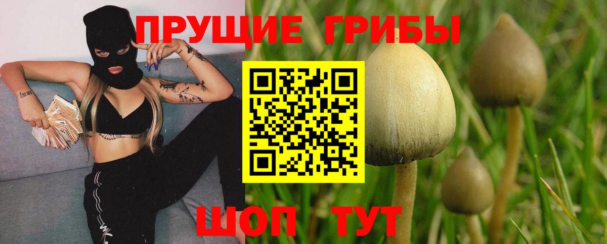 Псилоцибиновые грибы MAGIC MUSHROOMS Орехово-Зуево